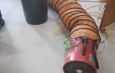 IMG-20251112-WA0113