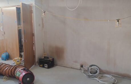IMG-20251112-WA0118