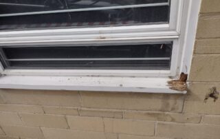 WhatsApp Image 2026-07-02 at 14.58.40 (1)